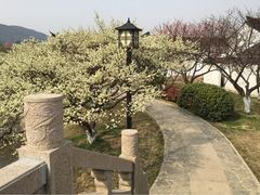 iphone_upload_pic-林屋洞景区