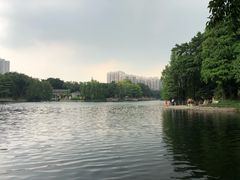 -竹园竹升面(西关总店)