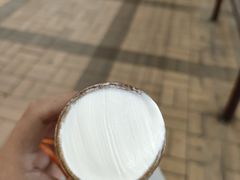 -富豪雪糕车流动点(尖沙咀店)