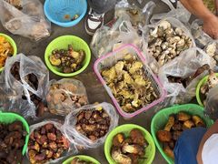 -南坛综合农贸市场