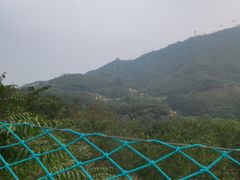 -黄金寨原生态旅游区