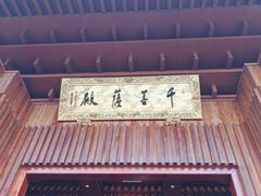 -深圳仙湖植物园