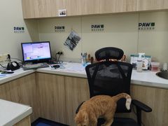 -佩兹宠物医院肿瘤专科·眼科·牙科(黄浦店)