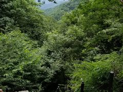 -王顺山国家森林公园
