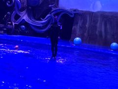 -华夏文旅海洋公园