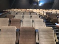 -深影国际影城(学院南路店CGS中国巨幕店)