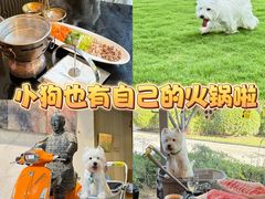 -西安浐灞艾美酒店·汉江餐厅·火锅