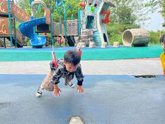 -两河城市森林公园