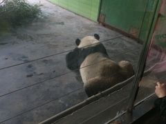 -石家庄市动物园