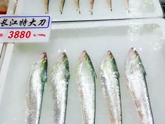 -莆鑫海鲜城(浏河店)