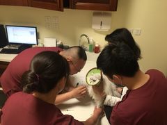 -美联众合动物医院·24h转诊中心