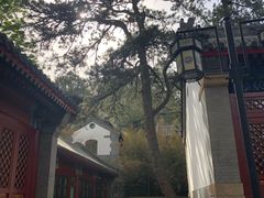 -北京鹫峰国家森林公园