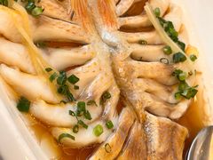 -骏莱海鲜鱼港(五角场店)