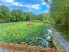 -潇湘甲鱼村(清河店)