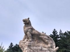 -帽儿山国家森林公园