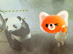 -陕西自然博物馆