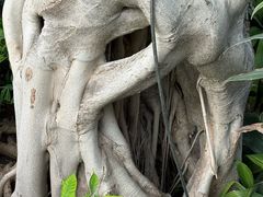 -北京植物园-展览温室