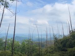-莫干山风景区