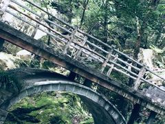 -牛背梁国家森林公园