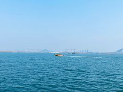 -南湖国家城市湿地公园
