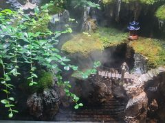 -雅苑中餐厅
