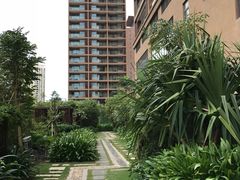 -三亚湾红树林度假世界(木棉酒店)