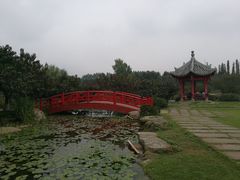 -秀丽东方