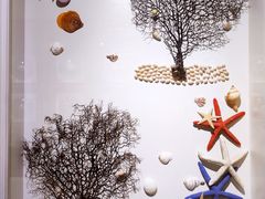 -青岛贝壳博物馆