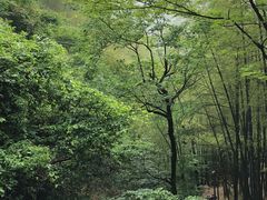 -藏龙百瀑风景区