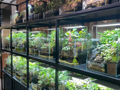 -扶摇湘宴·烤鸭·湘粤宴(中关村·北大店)