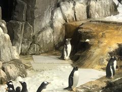 -成都浩海立方海洋公园