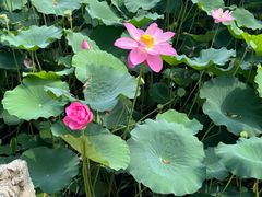 -莲池书院博物馆