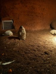 -酷嗒动物文化乐园(cutezoo西溪乐天城店)