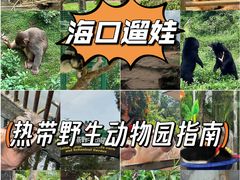 -海南热带野生动植物园