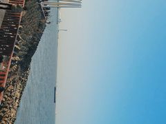 -上海滨江森林公园