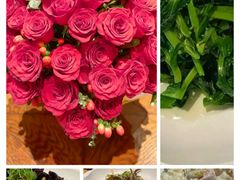 -玫瑰厅上海菜(兴国路店)