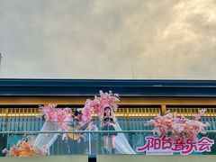-江心屿景区