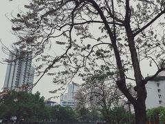-红星桥(地铁站)