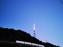 -李子坝梁山鸡(李子坝大鸡哥店)