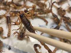 -老江南春·中国龙菜(衡山路店)