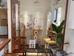 -有猫主题·治愈系猫咖(曾厝垵店)