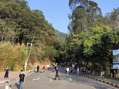 -大雁山风景区