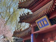 -桃花堤公园