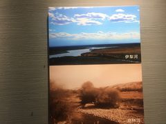 -巴音郭楞蒙古自治州博物馆