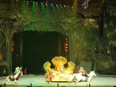 -广州长隆国际大马戏
