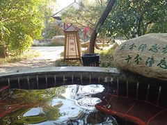 -观唐（国际）度假村温泉