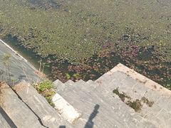 -月湖风景区