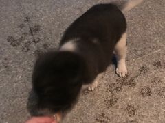 -上海市闵行区中心医院·停车场