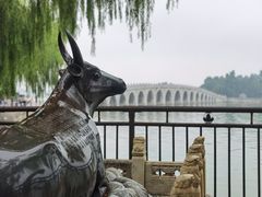 -颐和园