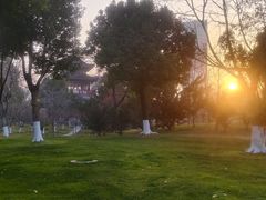 -堤角公园